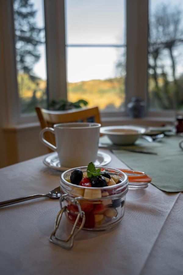 Glyntwrog House Bed and Breakfast Betws-y-Coed Exteriör bild